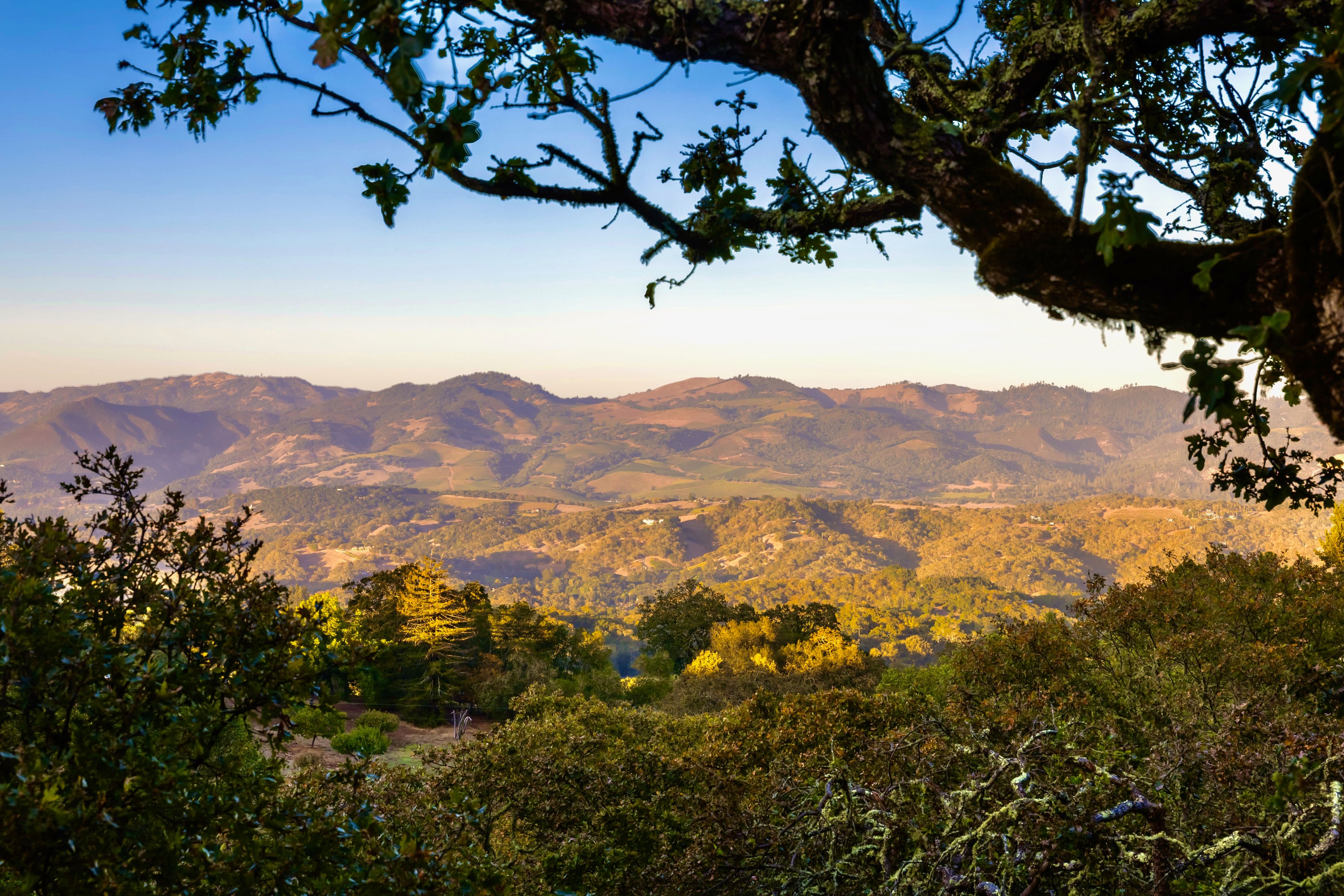  6640 Sonoma Mountain Road - 物件實景