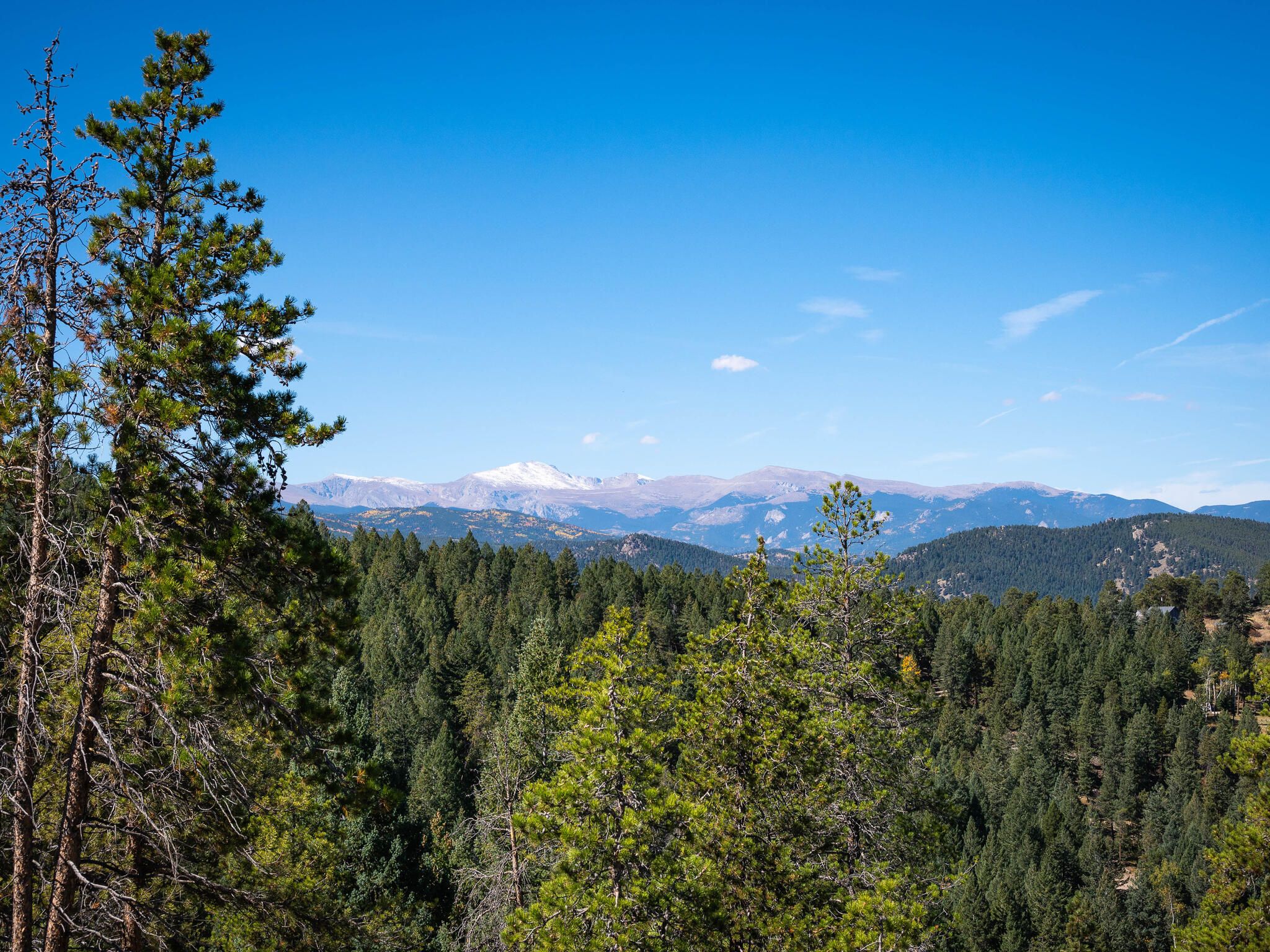 Acreage Available in Evergreen