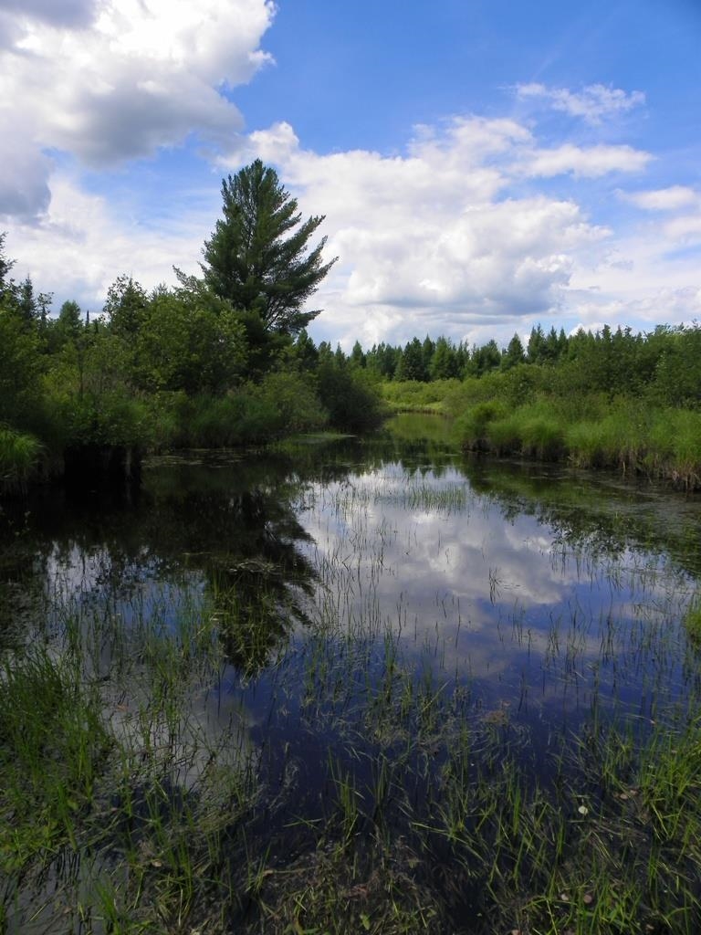 Butternut, Wisconsin, 54514, United States, ,Residential,For Sale,1921385