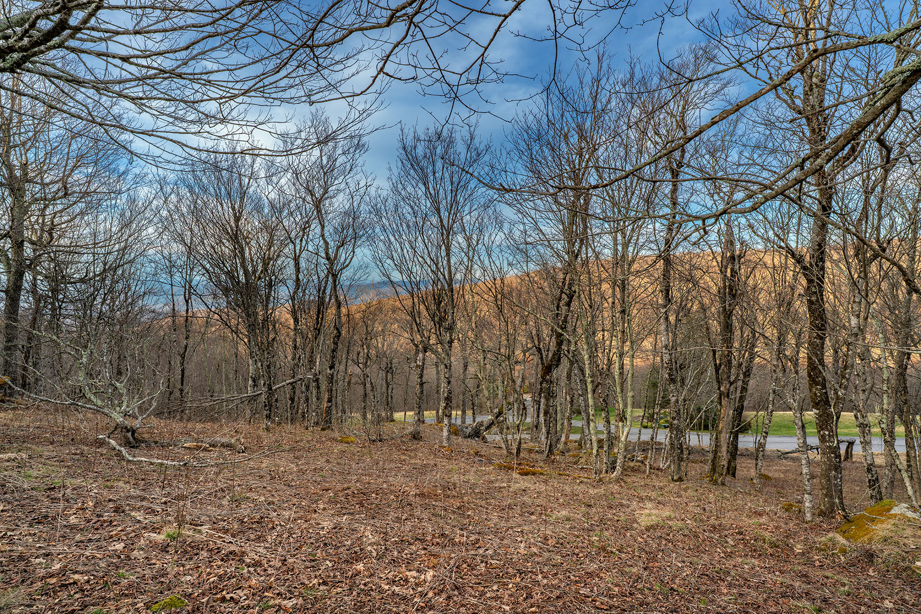  WOODLAND MEADOWS - BEECH MOUNTAIN - 物件實景
