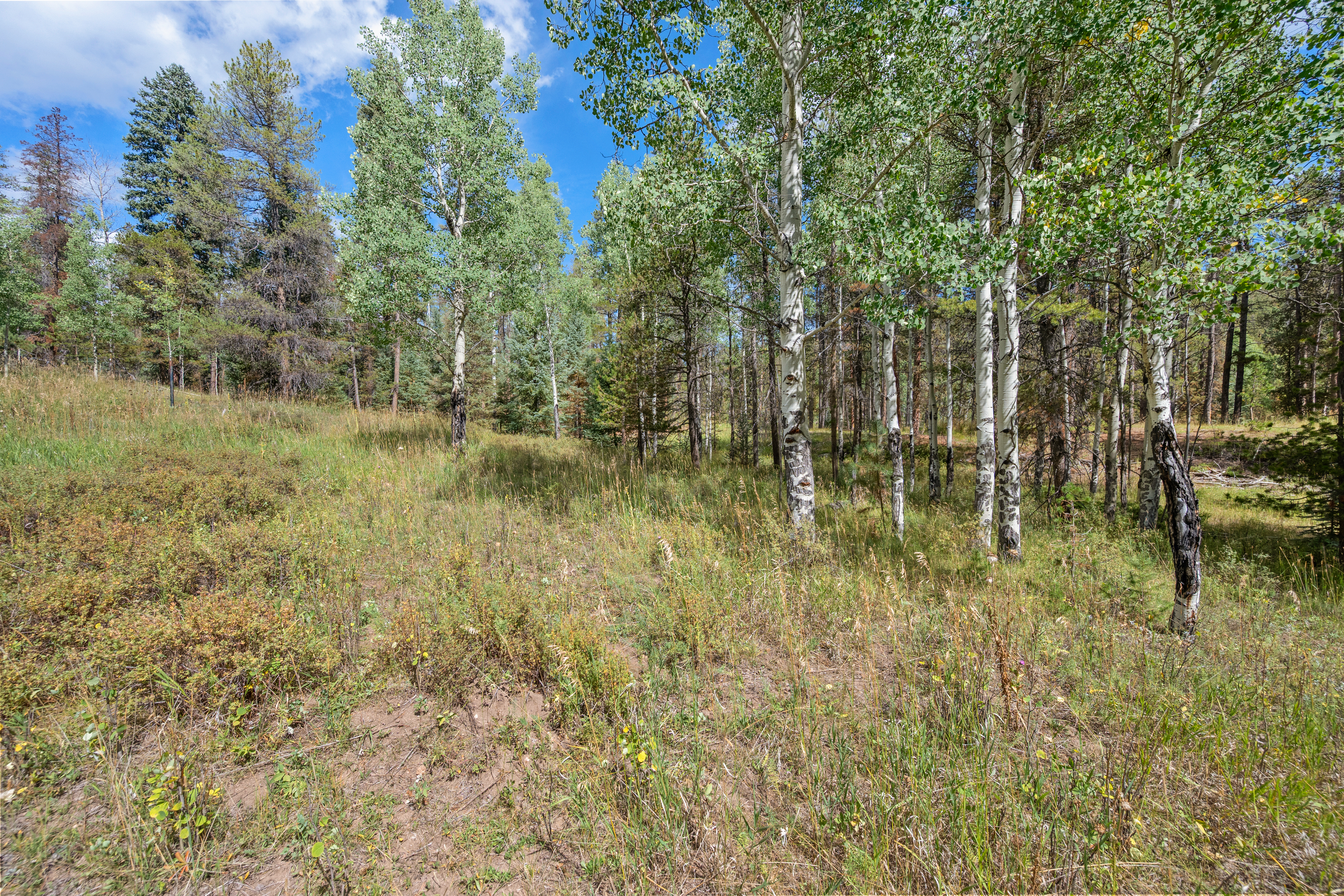  Peaceful Build-Ready Lot in Quiet Indian Springs Just 10 Min to 285 - 物件實景