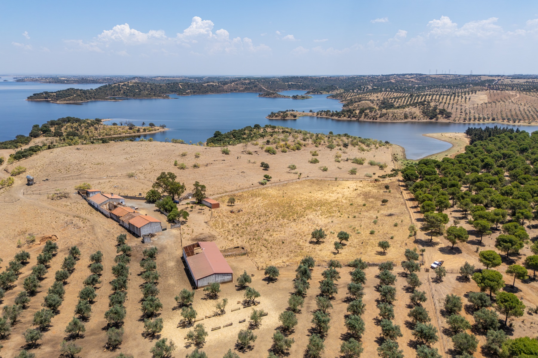  Country Estate for Sale - 物件實景