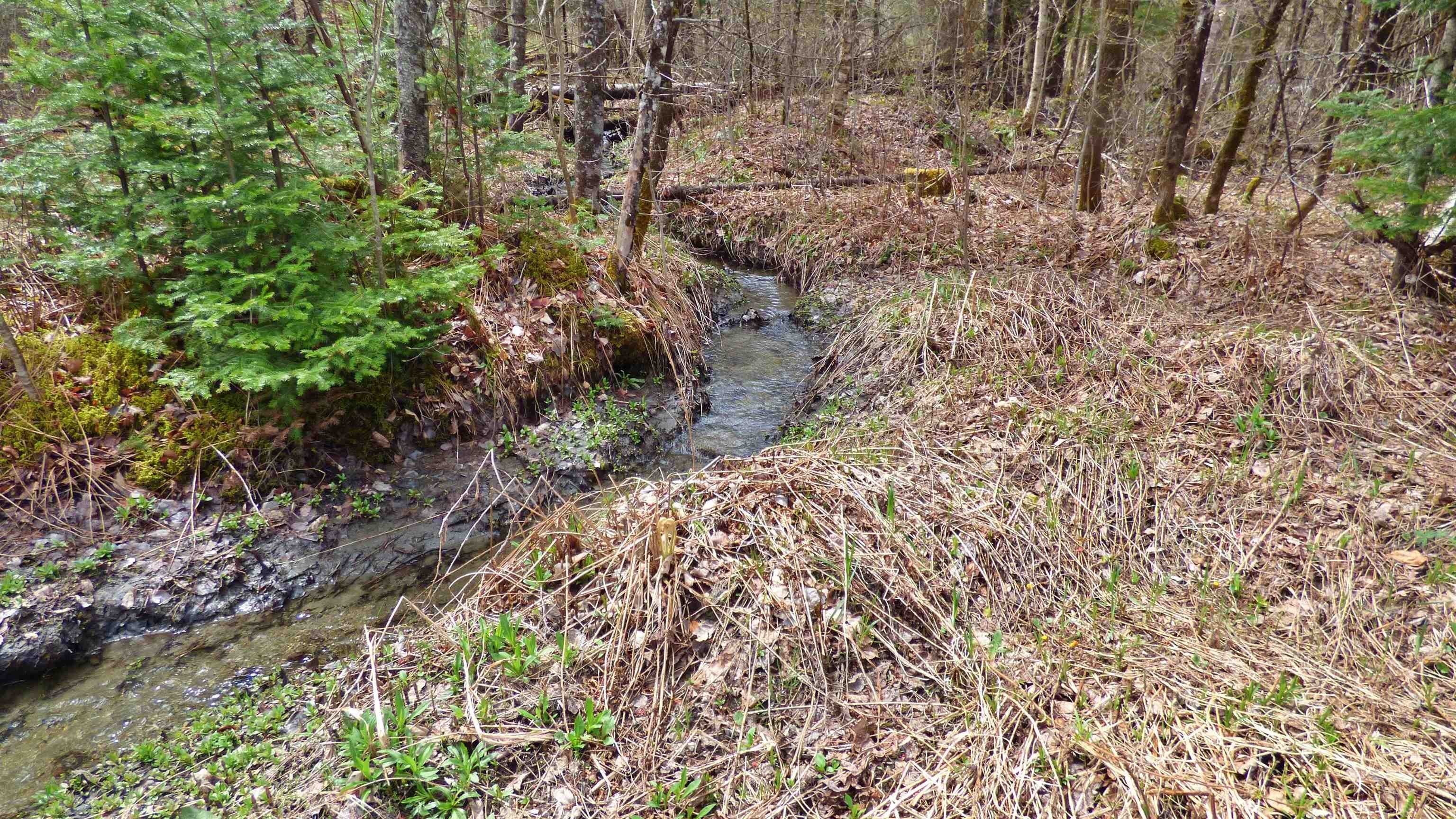 Wheelock, Vermont, 05851, United States, ,Land,For Sale,2017669