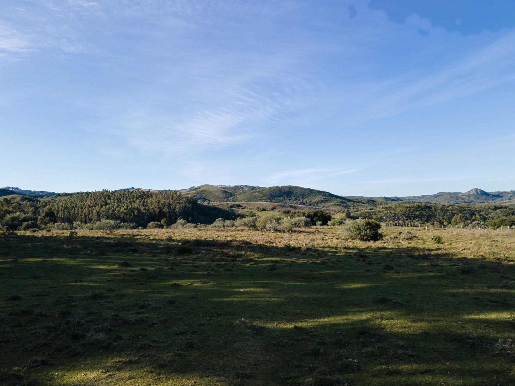  63.25 acres farm in Pueblo Edén. - 物件實景