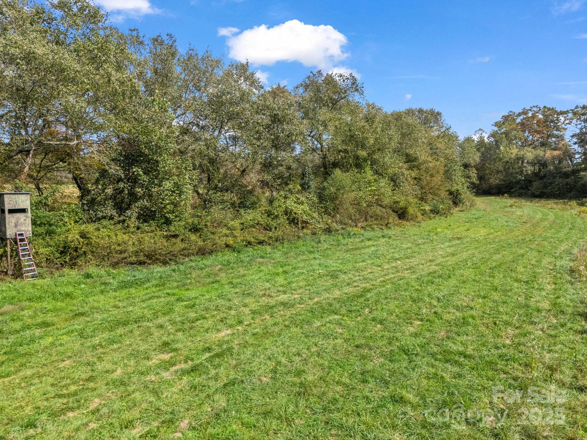 Mills River, North Carolina, 28759, United States, ,Land,For Sale,1975215