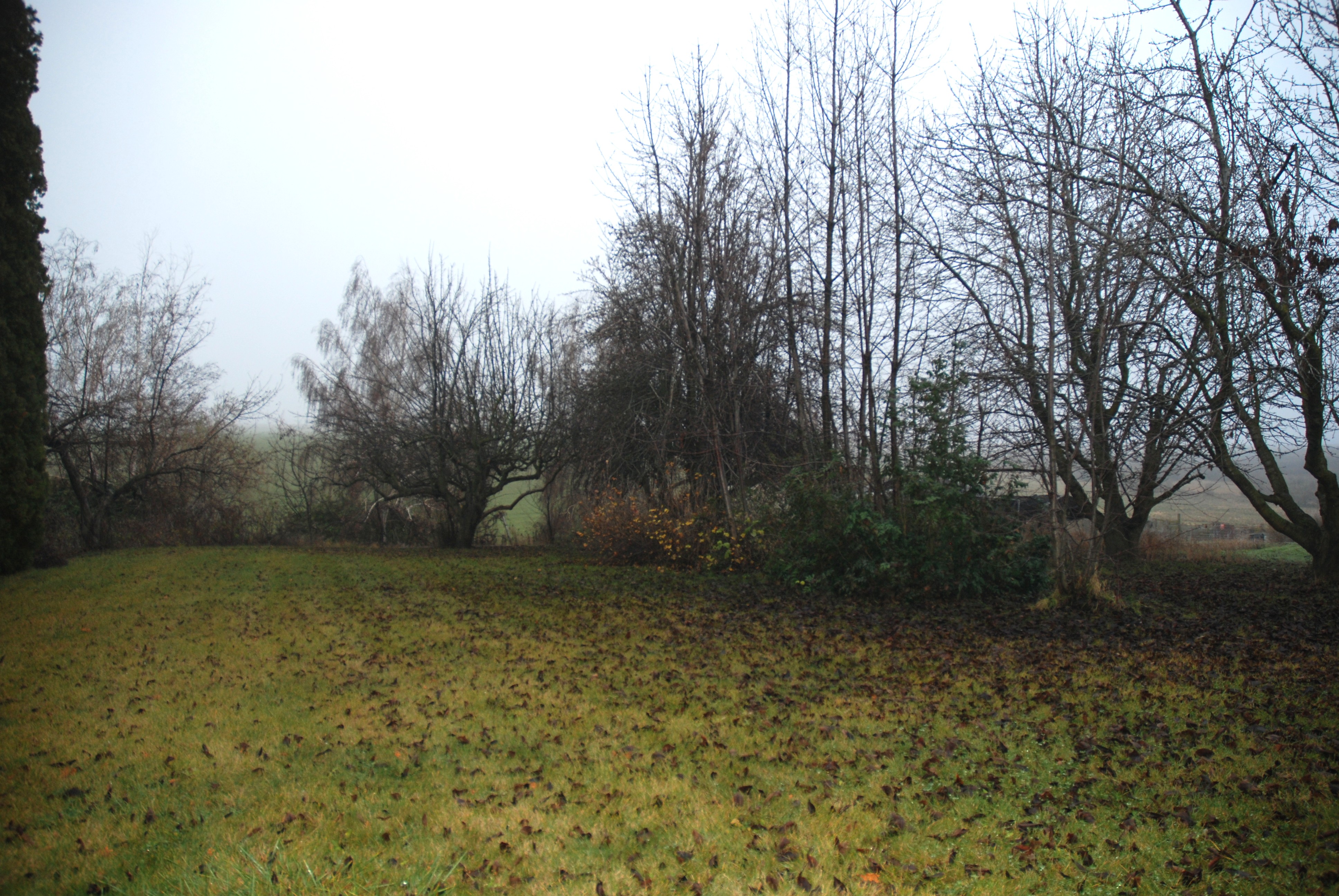 Warden, Washington, 98857, United States, 4 Bedrooms Bedrooms, ,1 BathroomBathrooms,Residential,For Sale,2006383