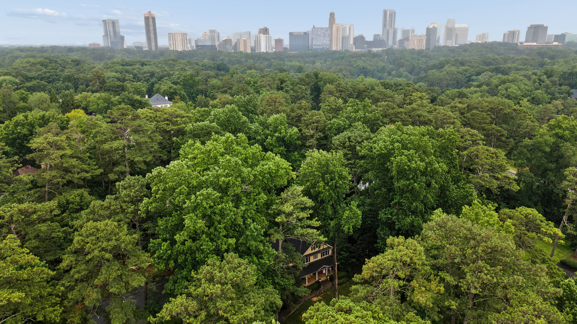  Privacy, Style, and Comfort in Coveted Buckhead Location - 物件實景