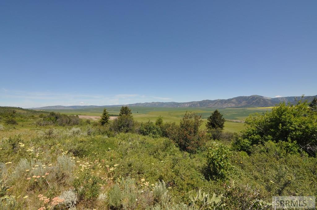 SWAN VALLEY, Idaho, 83449, United States, ,Land,For Sale,1982720