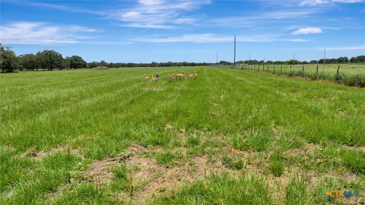 13320 US Highway 77, Hallettsville, Texas, 77964, United States, ,Land,For Sale,13320 US Highway 77,1614755