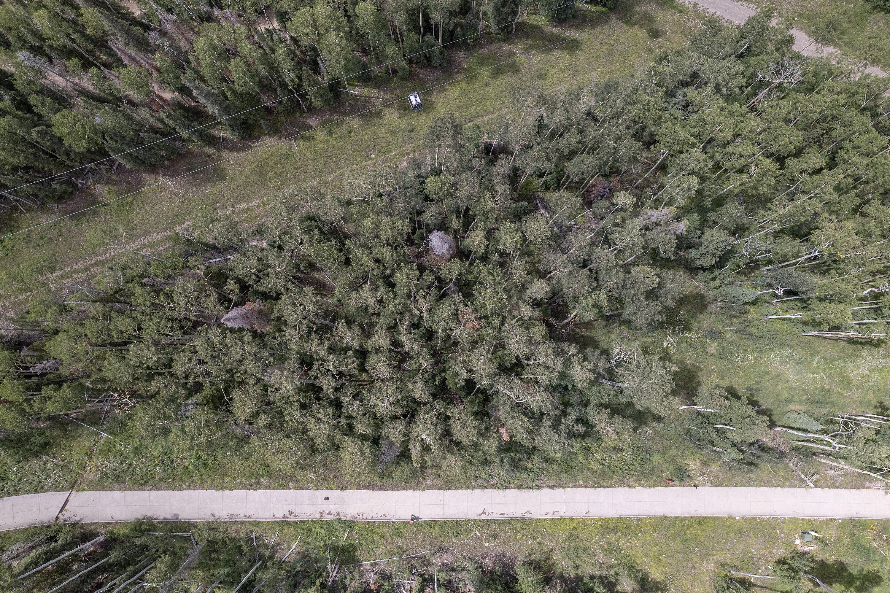 Mountain Village, Colorado, 81435, United States, ,Land,For Sale,1805145