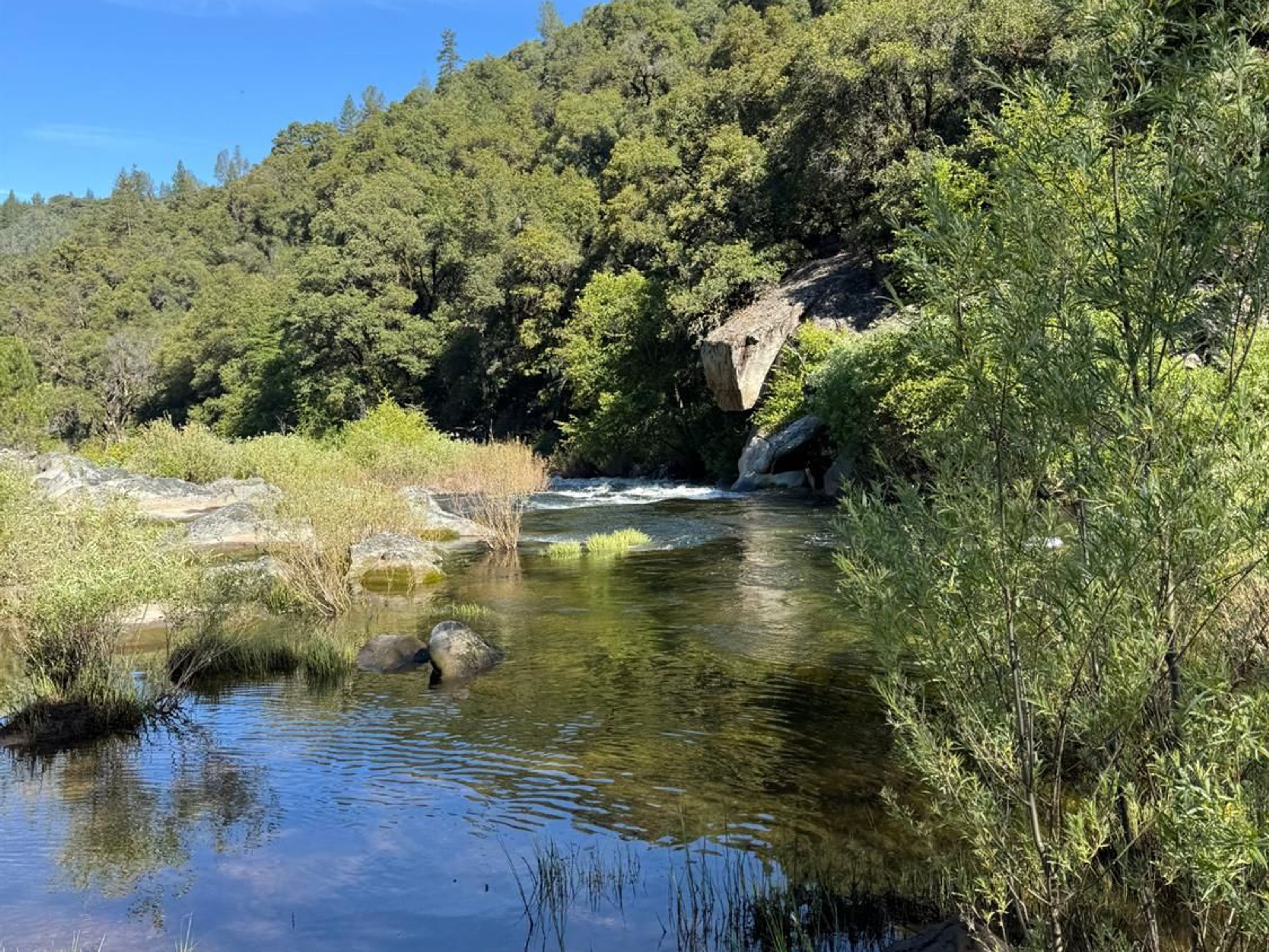  0 Old Country Road, West Point, CA 95255 - 物件實景