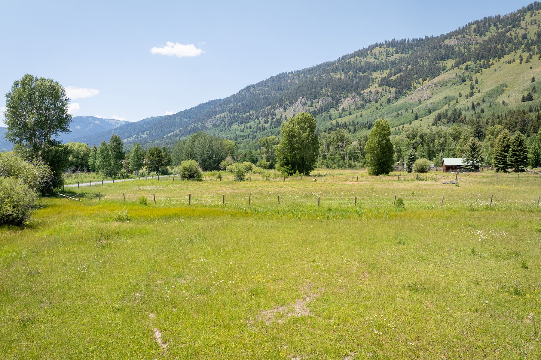  Lot 11  Triangle Q Ranch - 物件實景