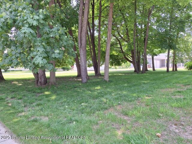 Charlotte, Michigan, 48813, United States, 5 Bedrooms Bedrooms, ,5 BathroomsBathrooms,Residential,For Sale,1985665