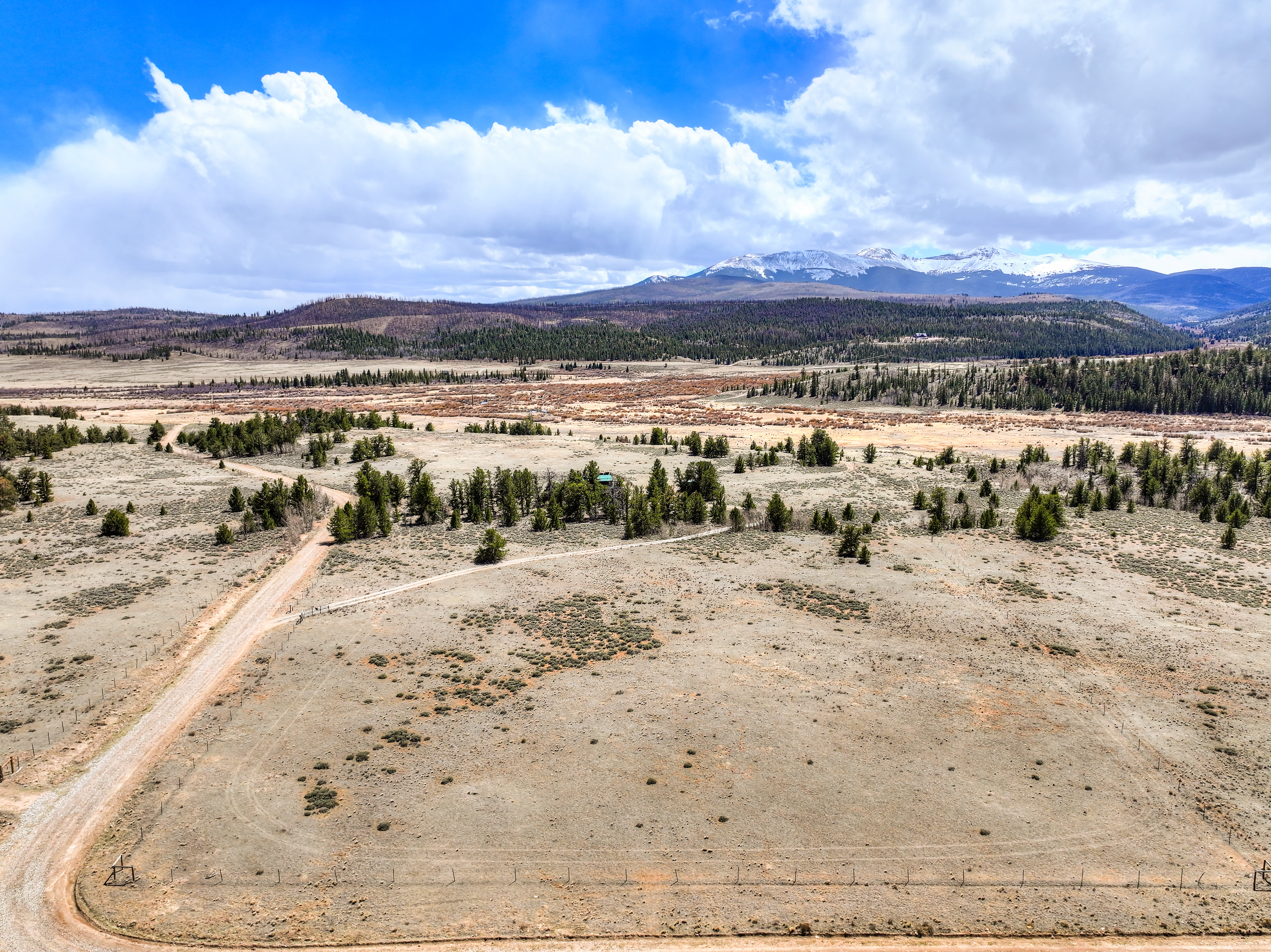  2867 Willow Creek Lane, Fairplay, CO, 80440 - 物件實景
