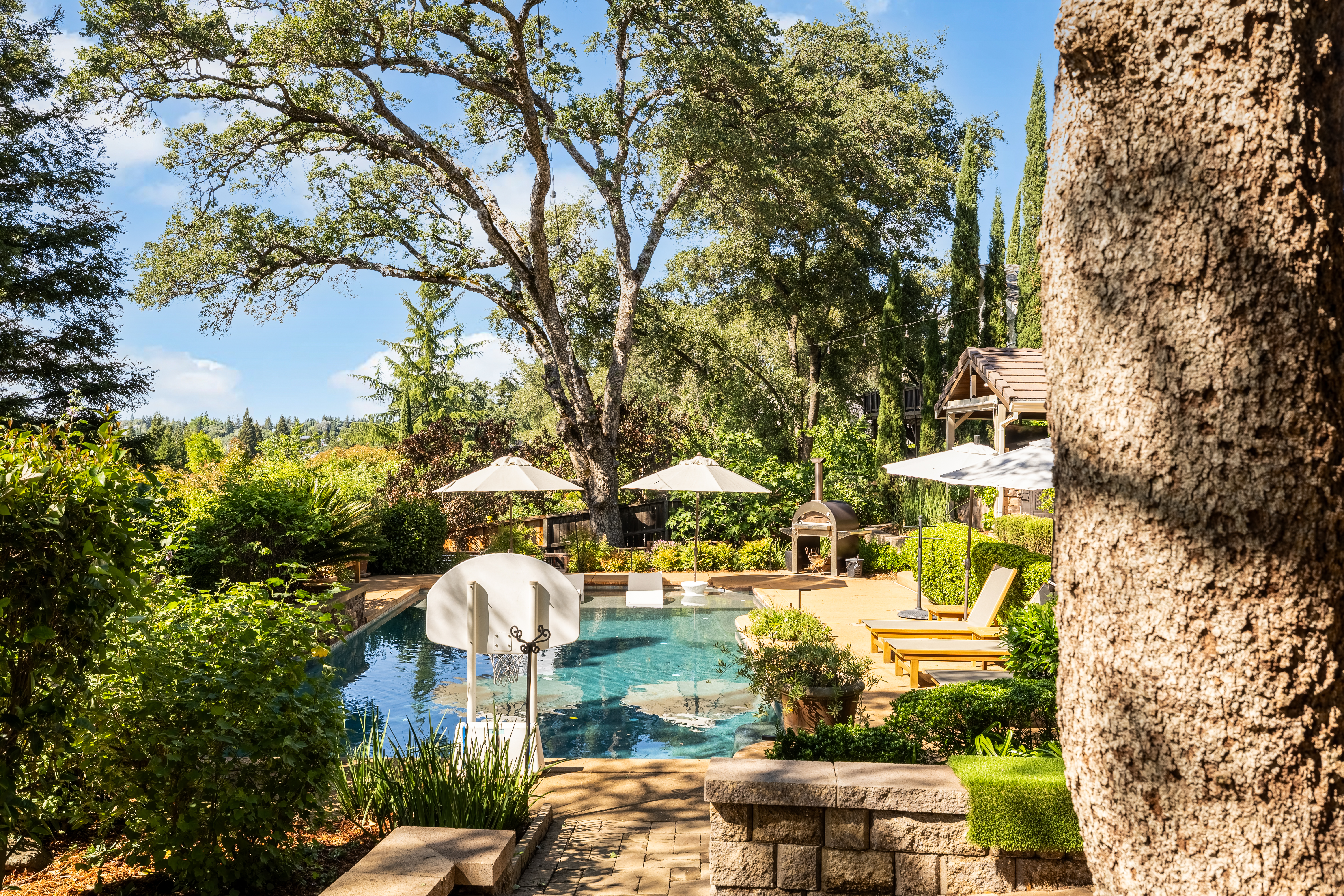  2360 Telegraph-Hill, El Dorado Hills, CA 95762 - 物件實景