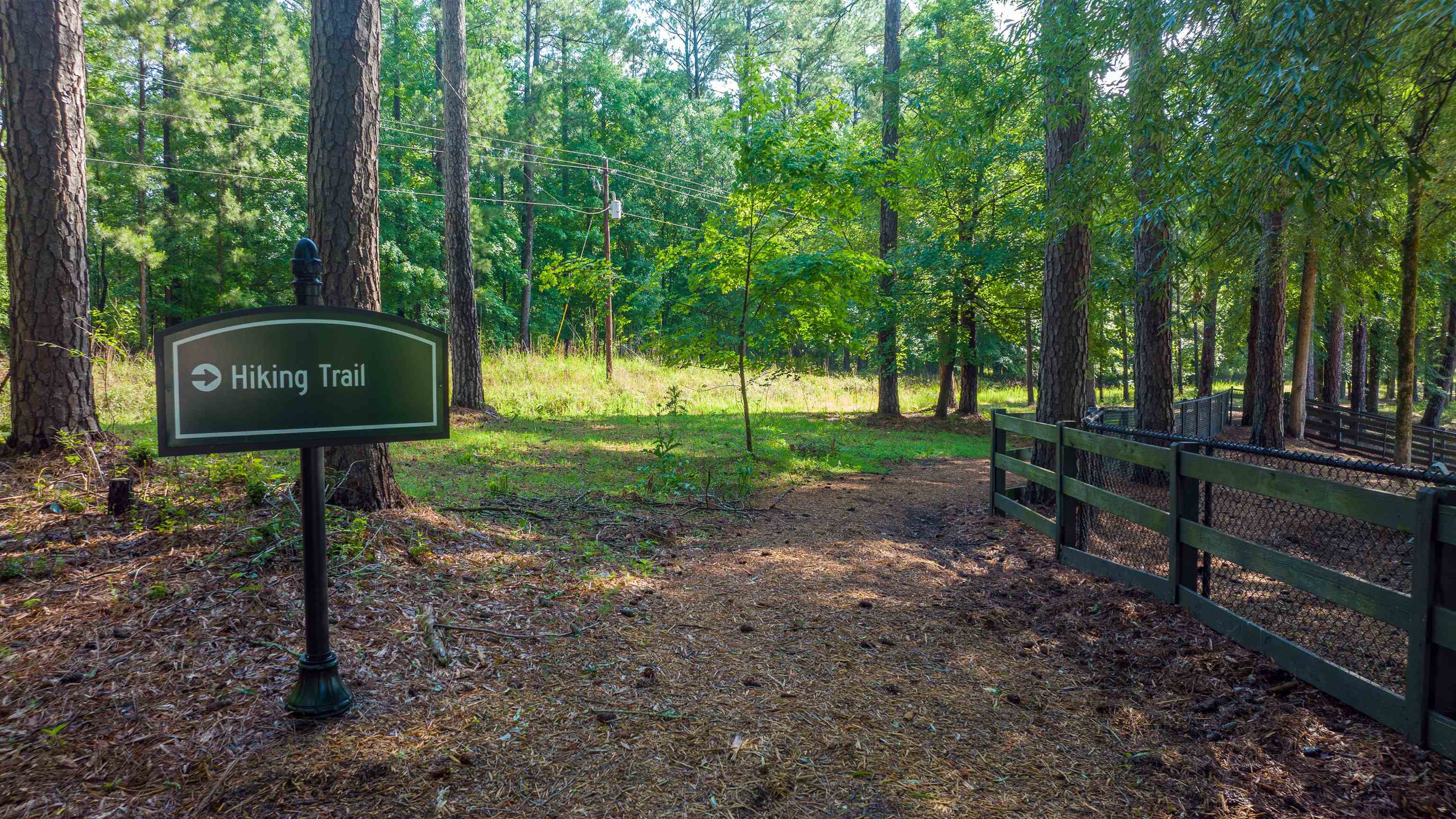 Greensboro, Georgia, 30642, United States, 4 Bedrooms Bedrooms, ,3 BathroomsBathrooms,Residential,For Sale,1967500