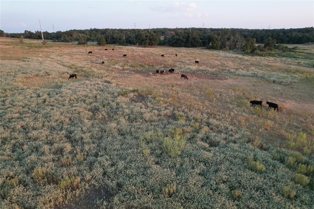 Tbd Tract 3 County Road 449, Thorndale, Texas, 76577, United States, ,Residential,For Sale,Tbd Tract 3 County Road 449,1655571