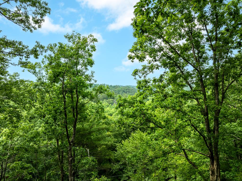 Ellijay, Georgia, 30540, United States, 4 Bedrooms Bedrooms, ,4 BathroomsBathrooms,Residential,For Sale,1858933
