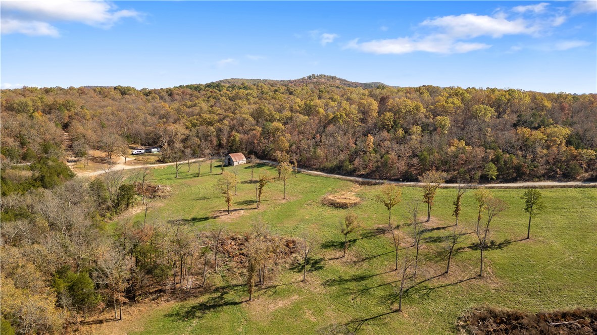 Yellville, Arkansas, 72687, United States, ,Land,For Sale,1903439
