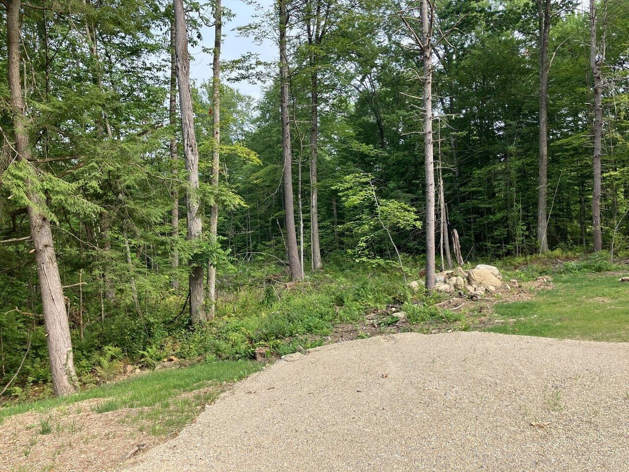Leicester, Vermont, 05733, United States, ,Land,For Sale,1916983
