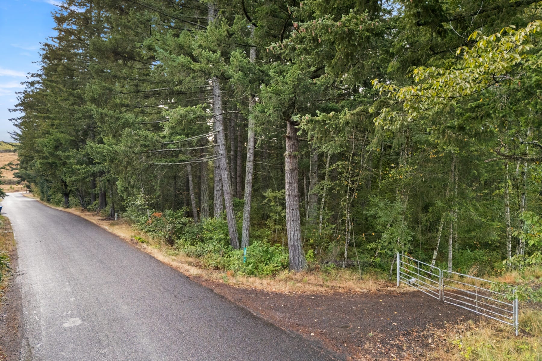  38015 SE FALL CREEK RD Estacada, OR 97023 - 物件實景