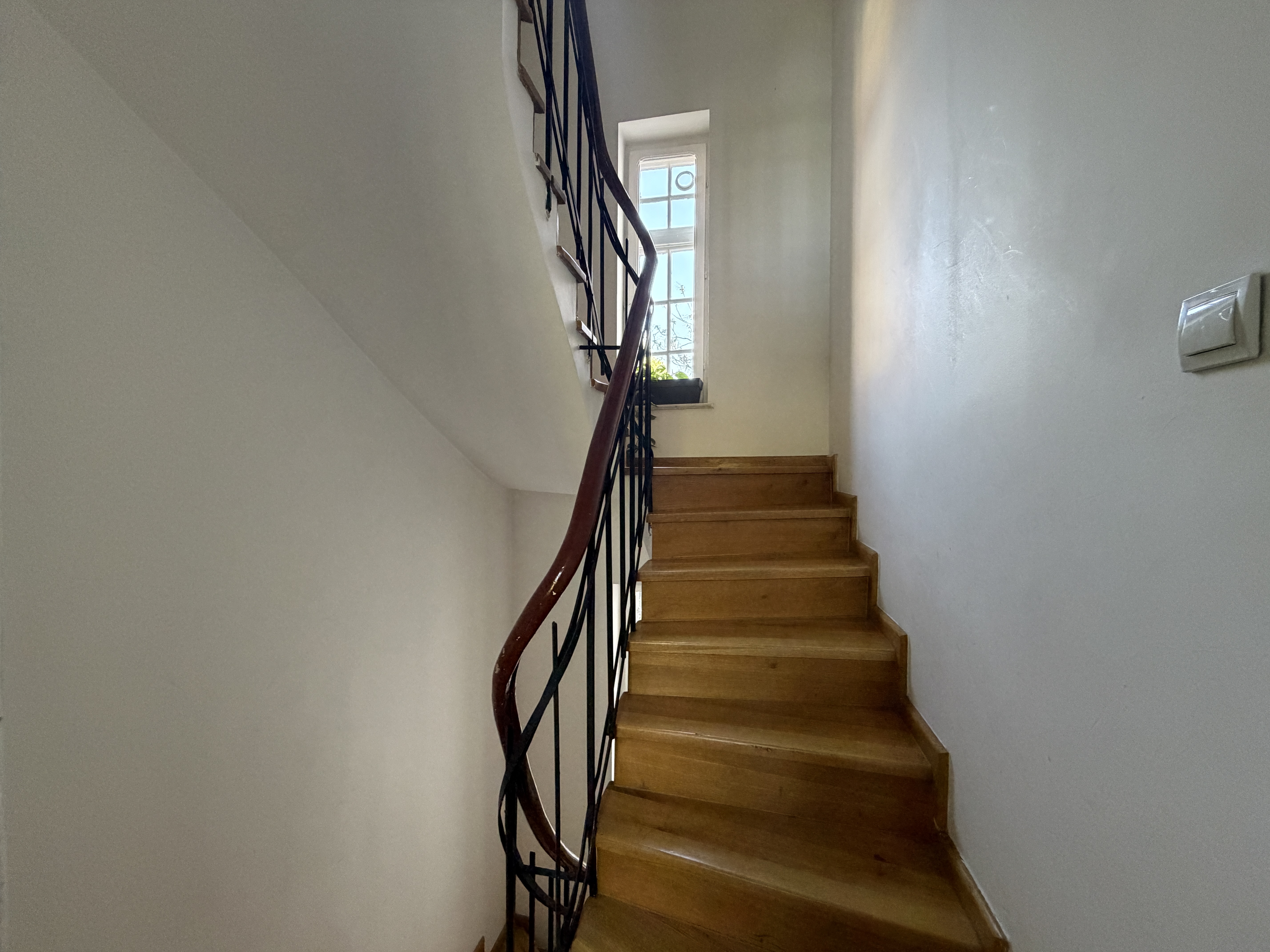  A Collector’s Residence on Kiseleff – The Architectural Legacy of Burcu & Marcu - 物件實景