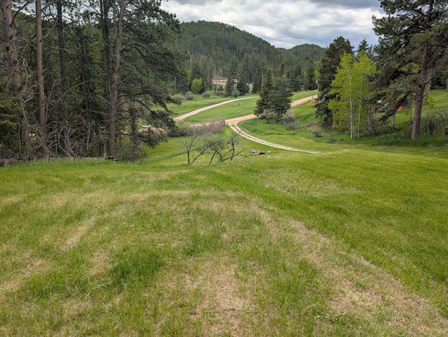 Lead, South Dakota, 57754, United States, 3 Bedrooms Bedrooms, ,1 BathroomBathrooms,Residential,For Sale,1888159