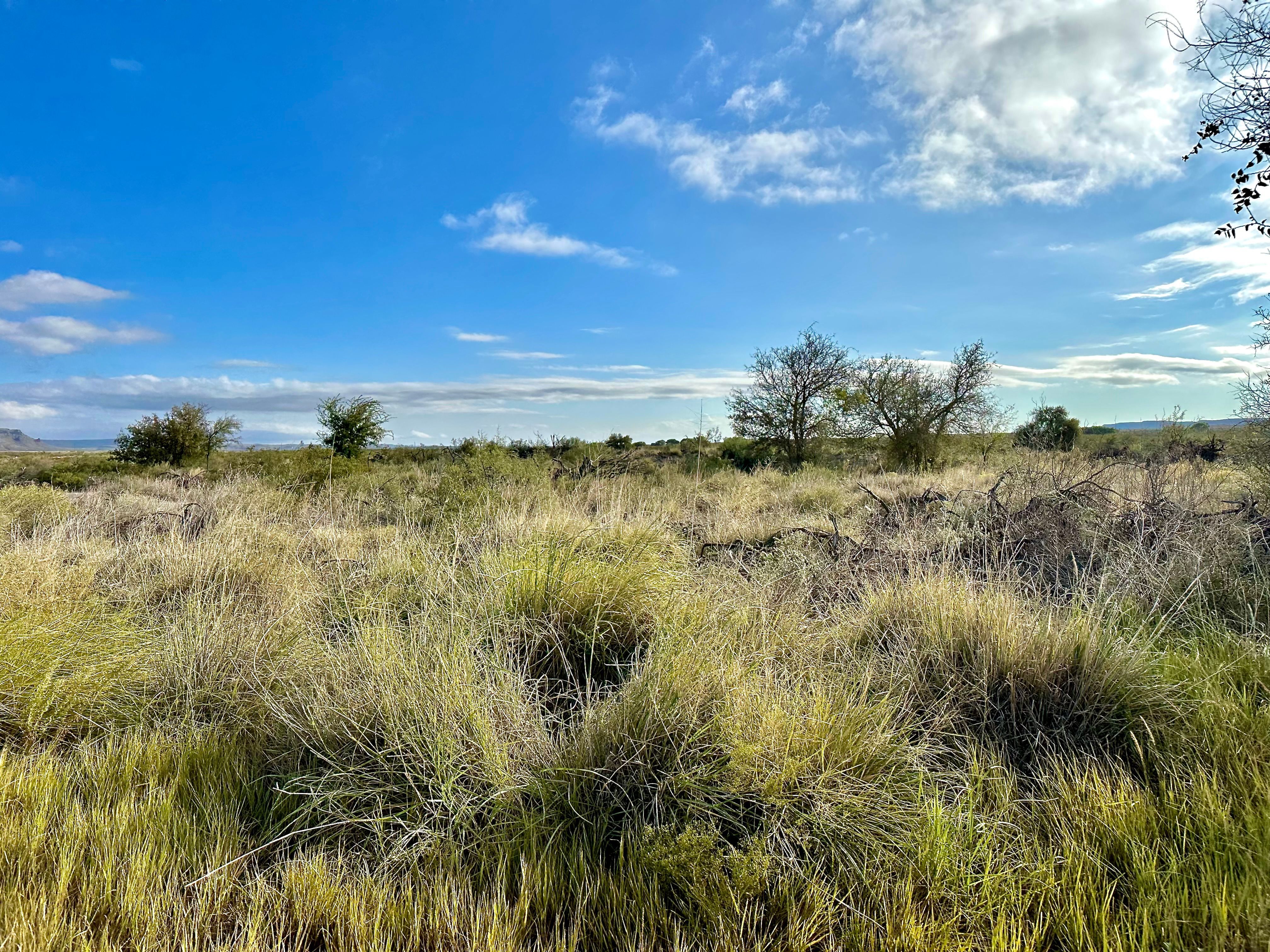  The Alamito Ranch in Presidio County - 物件實景