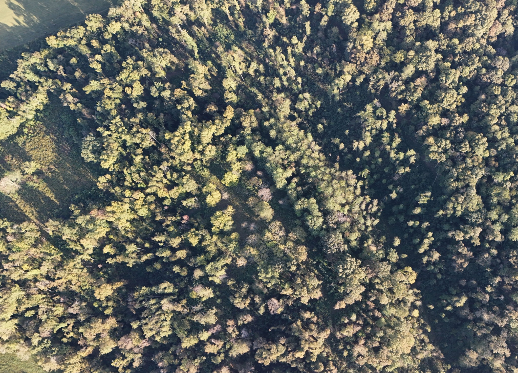 Lynchburg, Tennessee, 37388, United States, ,Land,For Sale,1982223