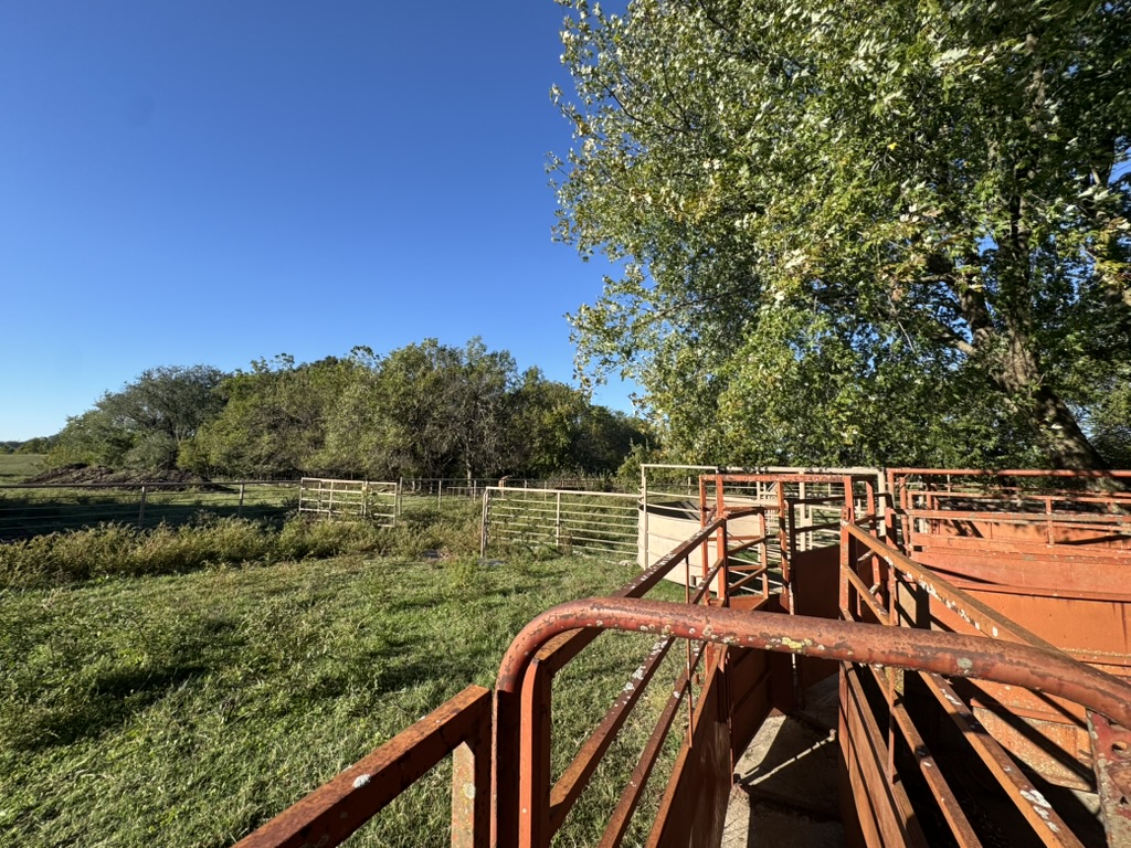 Pierce City, Missouri, 65723, United States, 2 Bedrooms Bedrooms, ,2 BathroomsBathrooms,Residential,For Sale,1987385