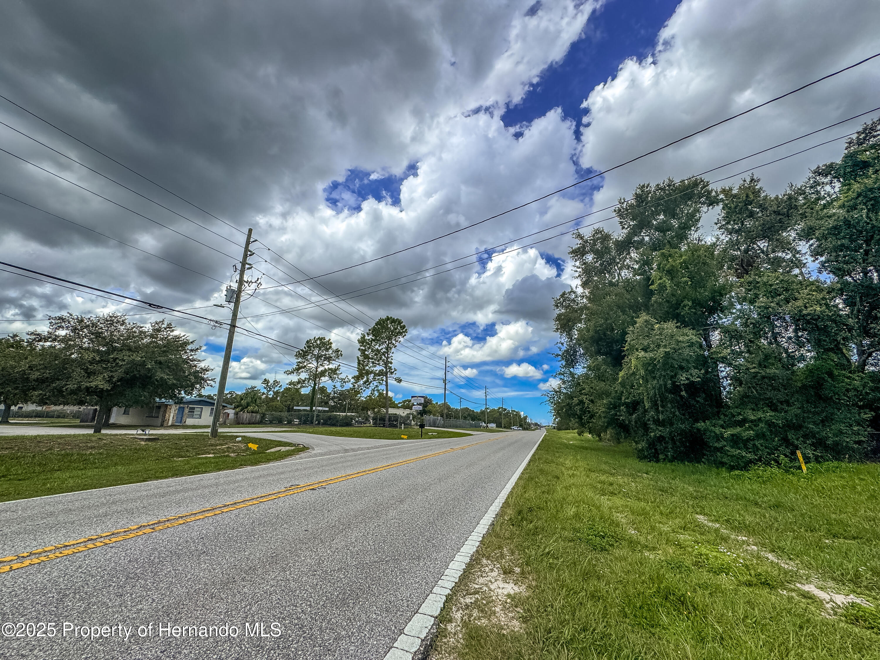Brooksville, Florida, 34613, United States, ,Land,For Sale,2007460