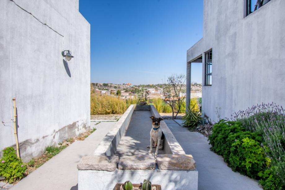Cocoxtli, San Miguel de Allende, Guanajuato, 37885, Mexico, 3 Bedrooms Bedrooms, ,3 BathroomsBathrooms,Residential,For Sale,Cocoxtli,1610161
