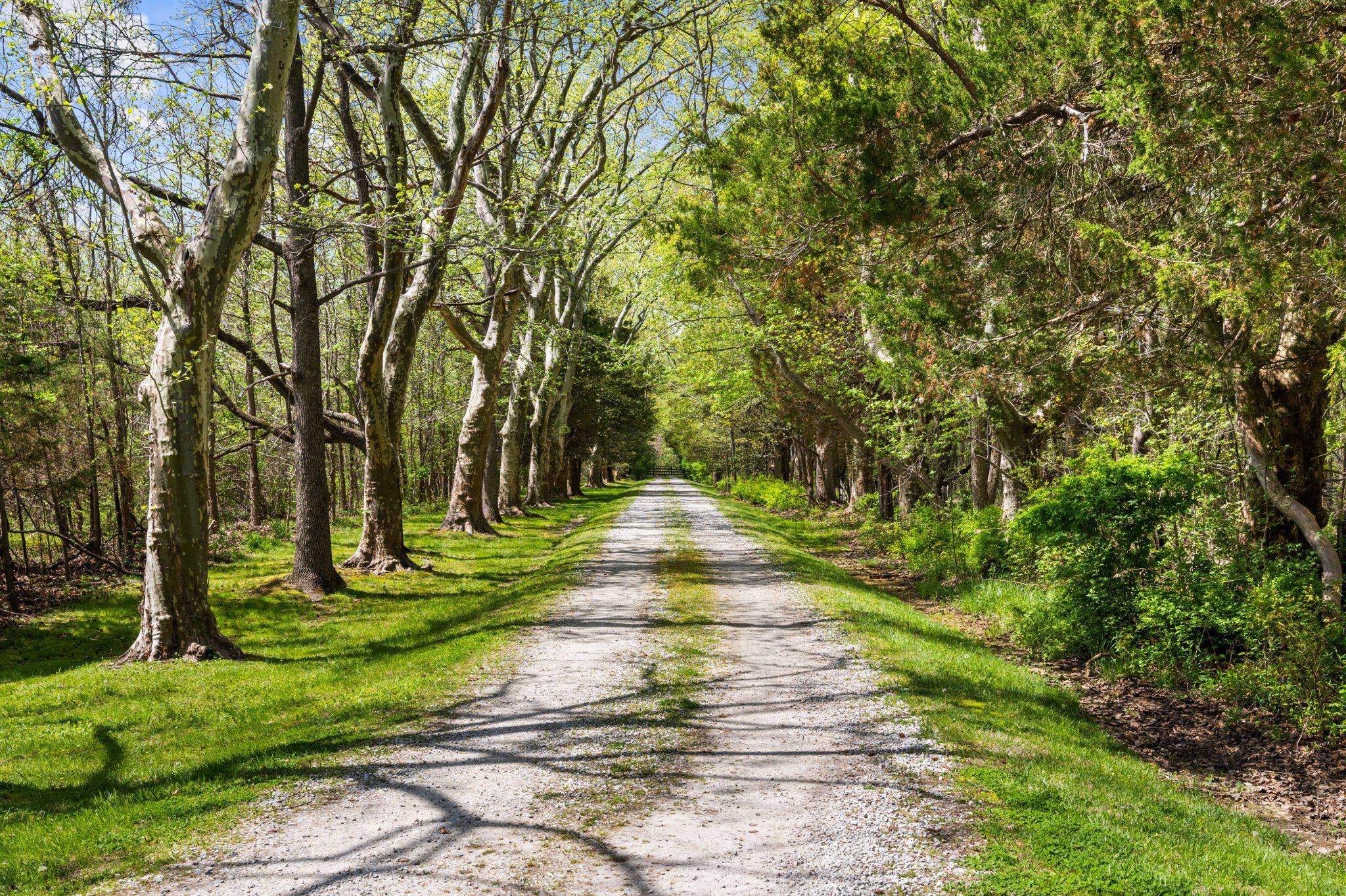  1741 Holly Beach Farm Road, Annapolis, MD, 21409 - 物件實景