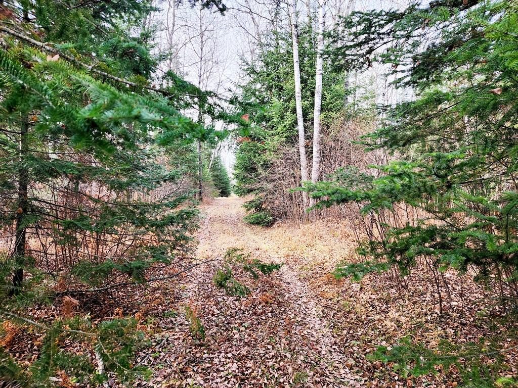 Grand Rapids, Minnesota, 55744, United States, ,Land,For Sale,1983791