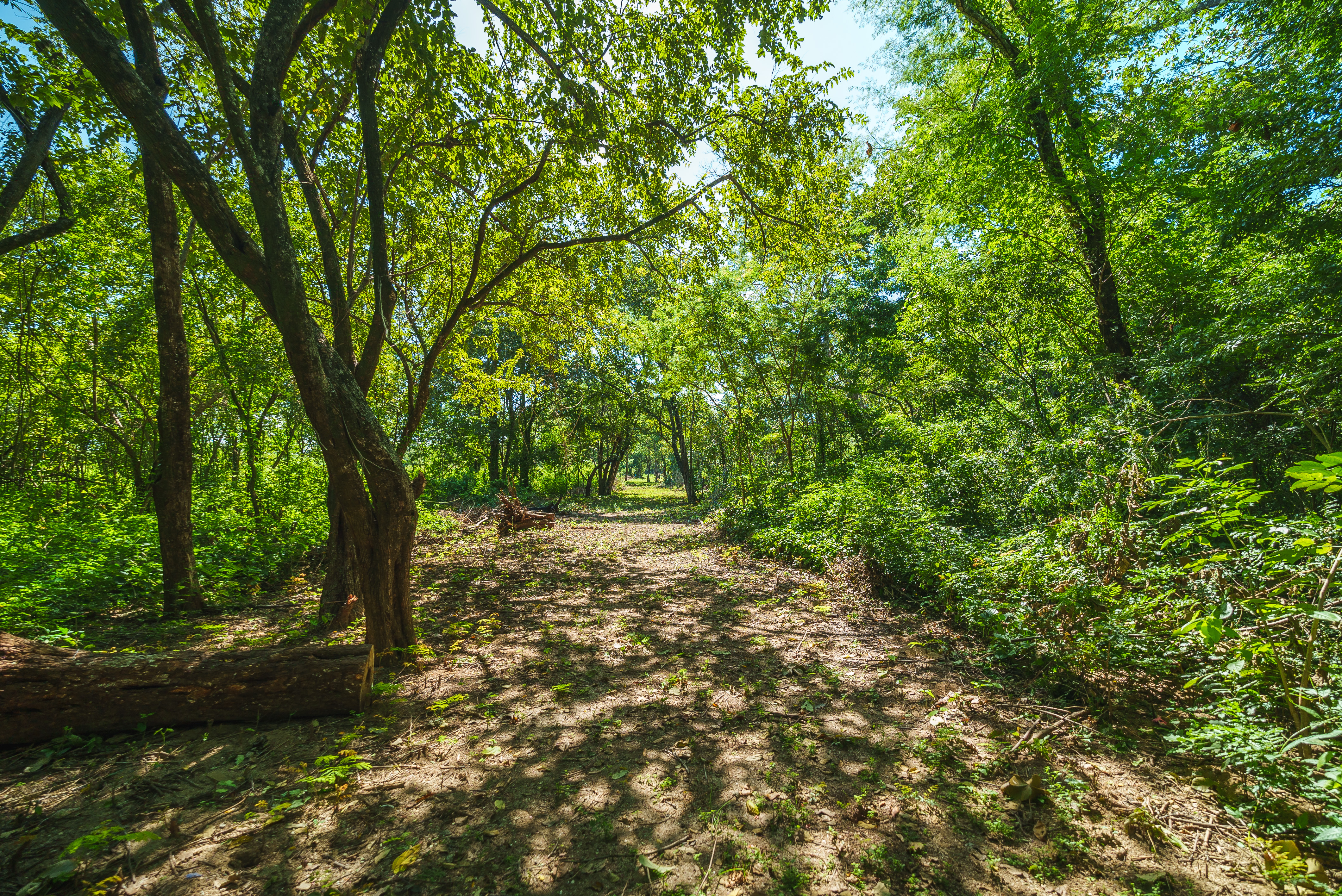 Playa Grande, Guanacaste, Playa Grande, Guanacaste, CR, ,Land,For Sale,Playa Grande, Guanacaste,1615548