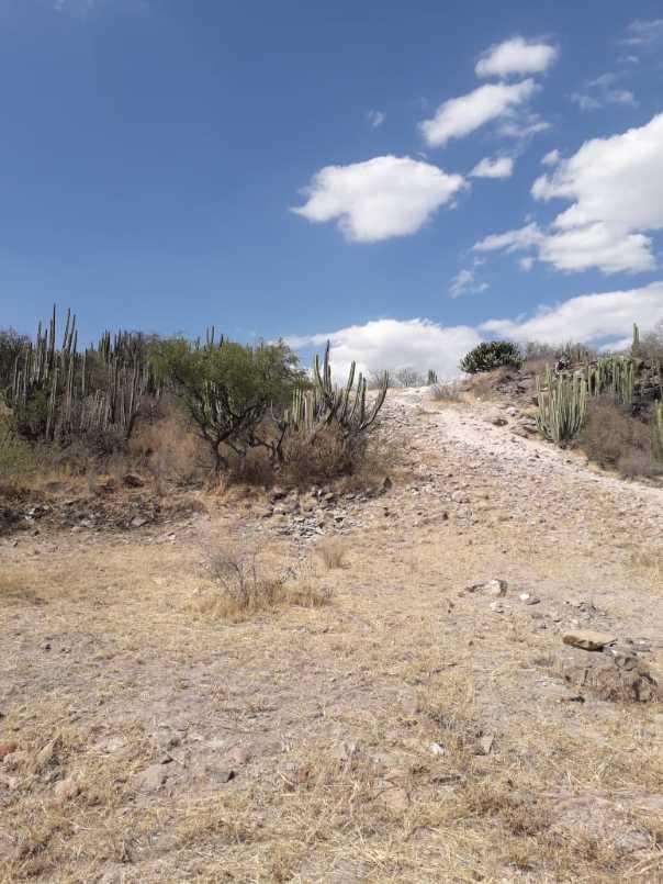 Manzana, Tecozautla, Hidalgo, 42440, Mexico, 1 Bedroom Bedrooms, ,Residential,For Sale,Manzana,1440911