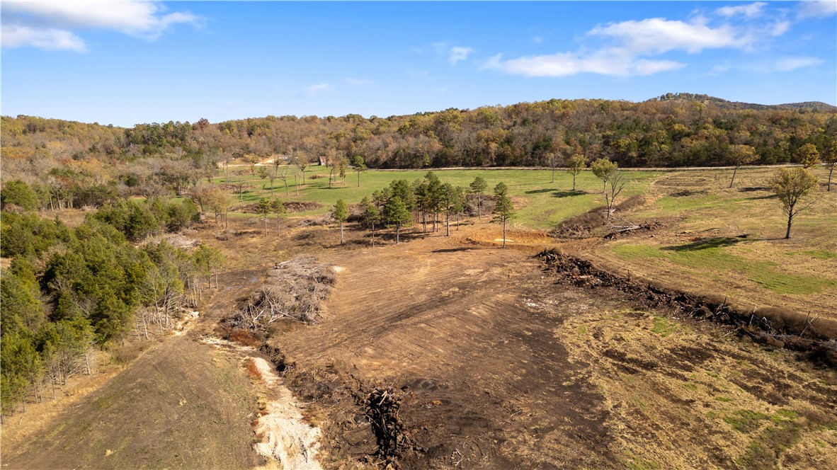Yellville, Arkansas, 72687, United States, ,Land,For Sale,1903439