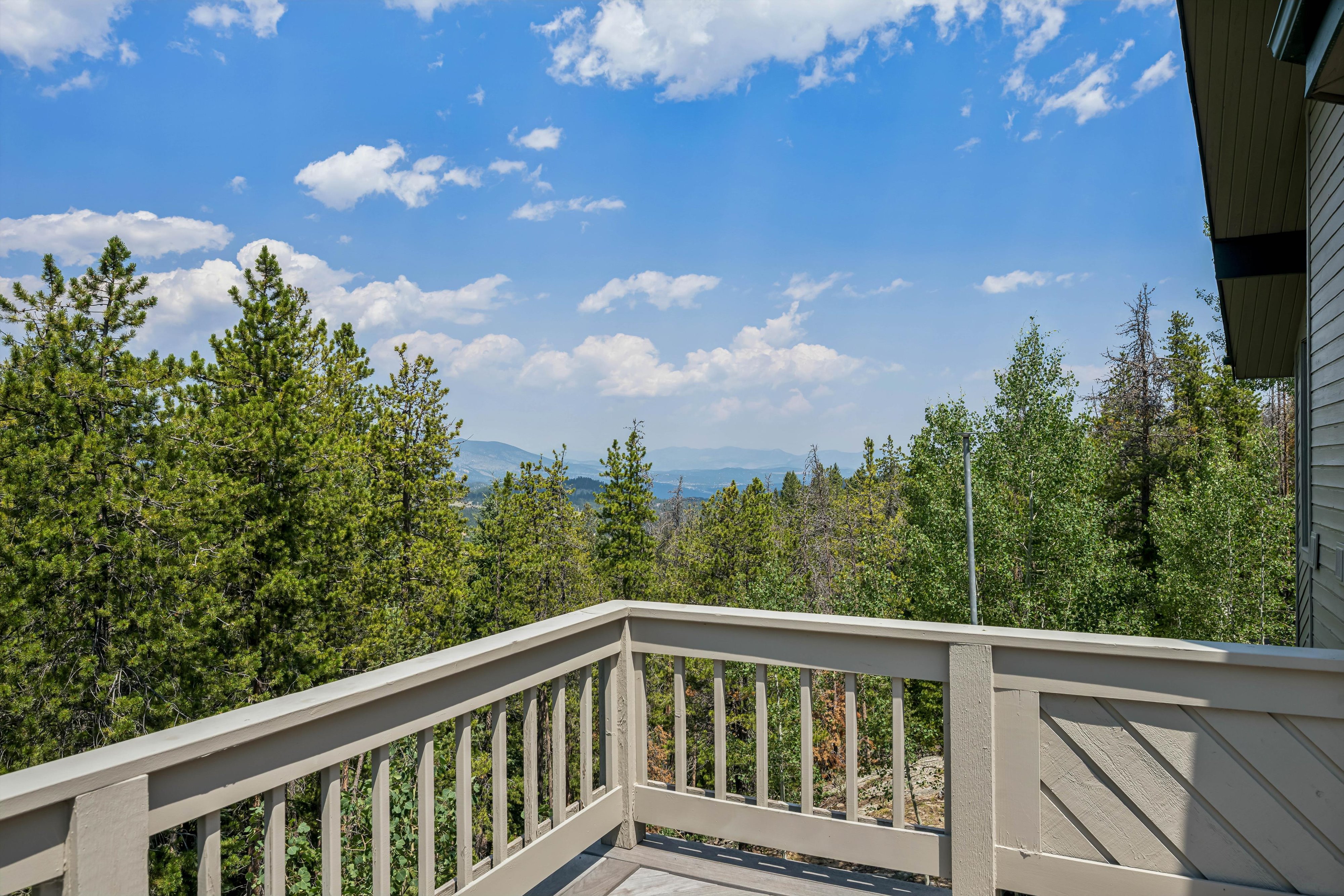  Colorado Mountain Living on 5.29 Wood/Sloping Acres - 物件實景