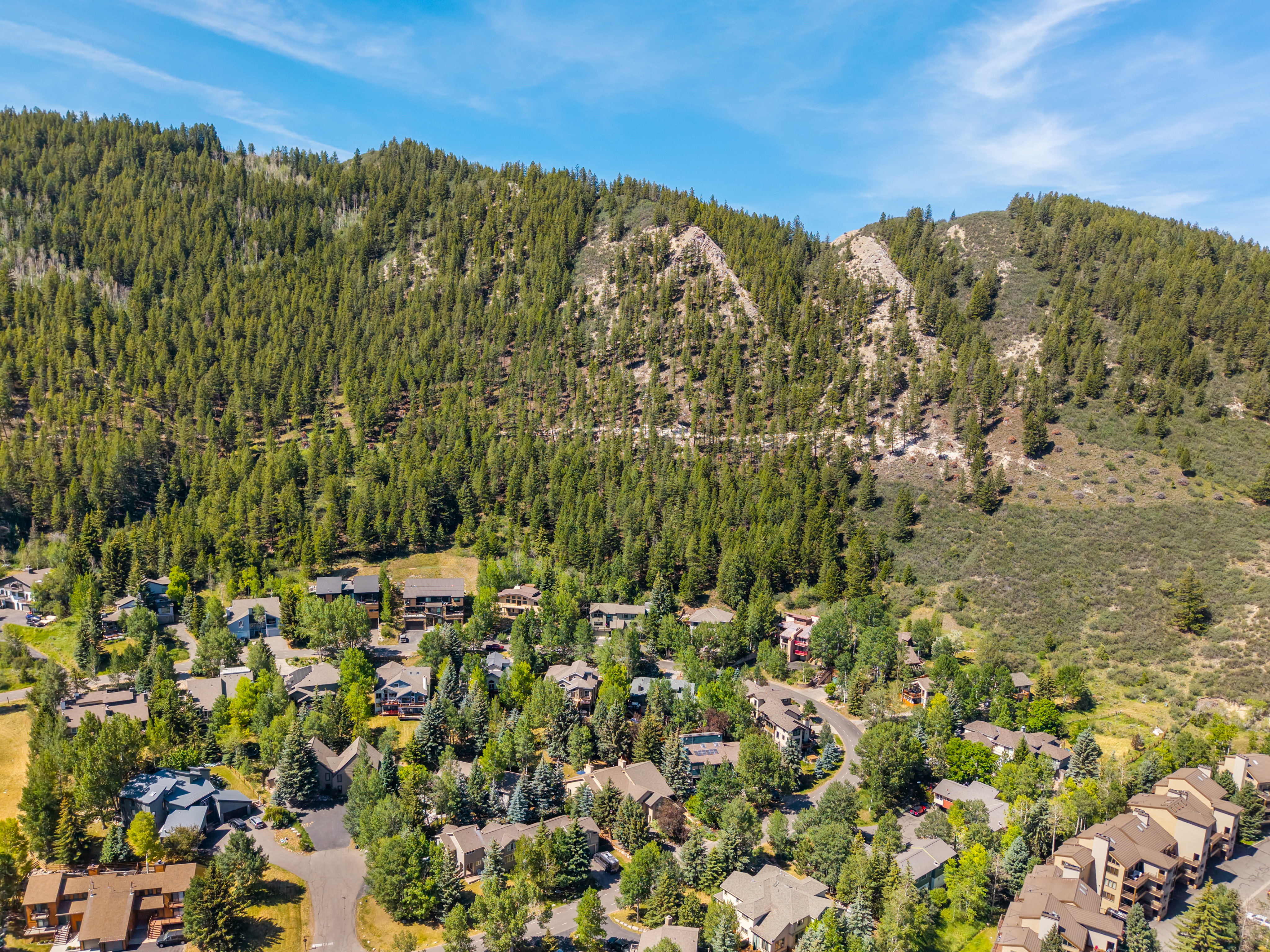  Lush, High-Alpine Gardens and Backs Directly to the EagleVail Trail System - 物件實景