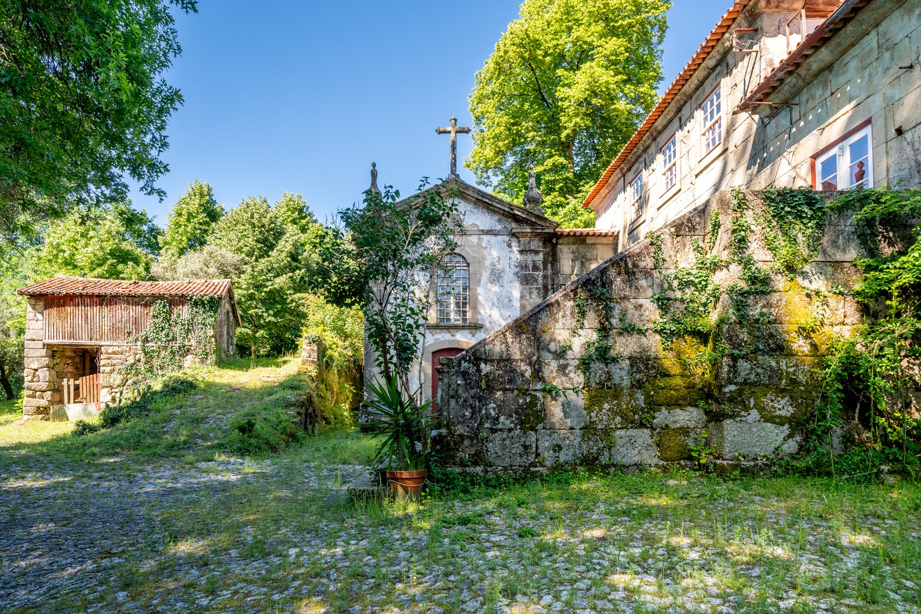  Farm for Sale - 物件實景