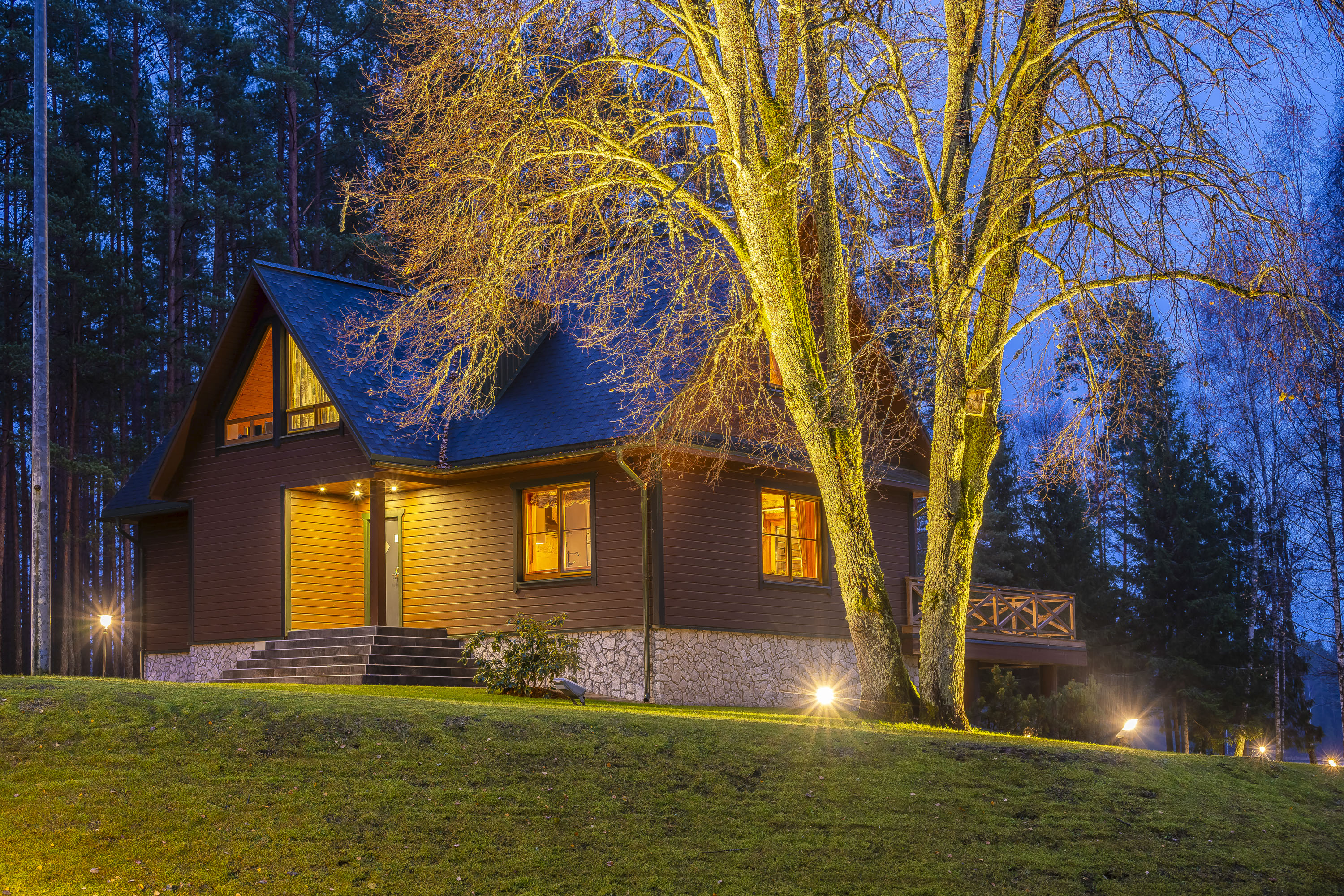  Surrounded by Nature: A Homestead with a Gym in Labanoras - 物件實景