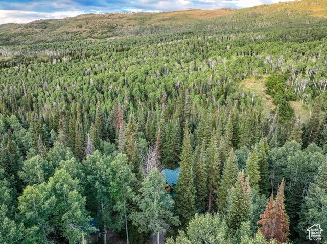 Heber City, Utah, 84032, United States, 5 Bedrooms Bedrooms, ,3 BathroomsBathrooms,Residential,For Sale,1975501