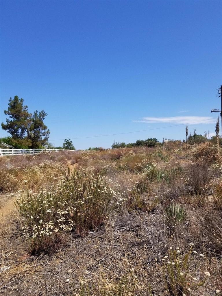 4 POLK Road PARCELS, Alpine, California, 91901, United States, ,Land,For Sale,4 POLK Road PARCELS,1646667