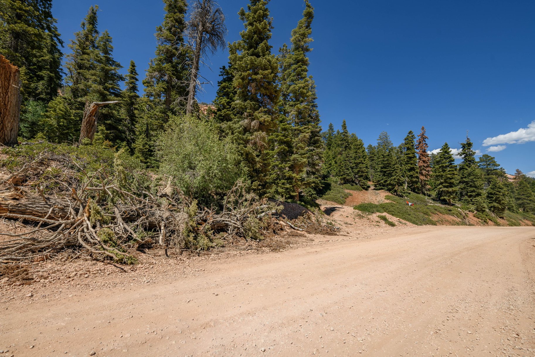  Quiet Mountain Retreat Near Navajo Lake - 物件實景