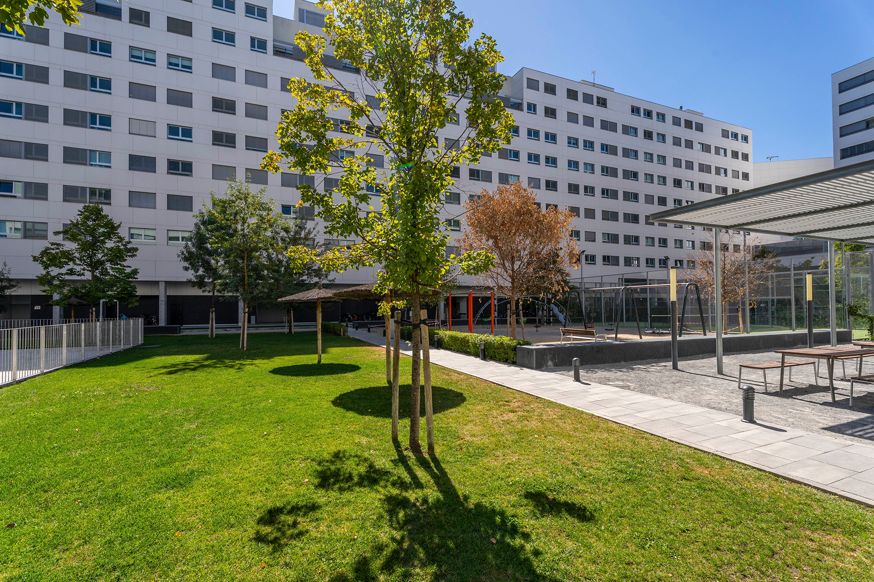  Bright penthouse in Valdebebas with terrace and park views - 物件實景