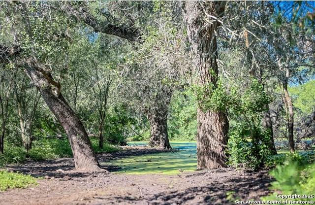 Beeville, Texas, 78102, United States, ,Land,For Sale,1988110