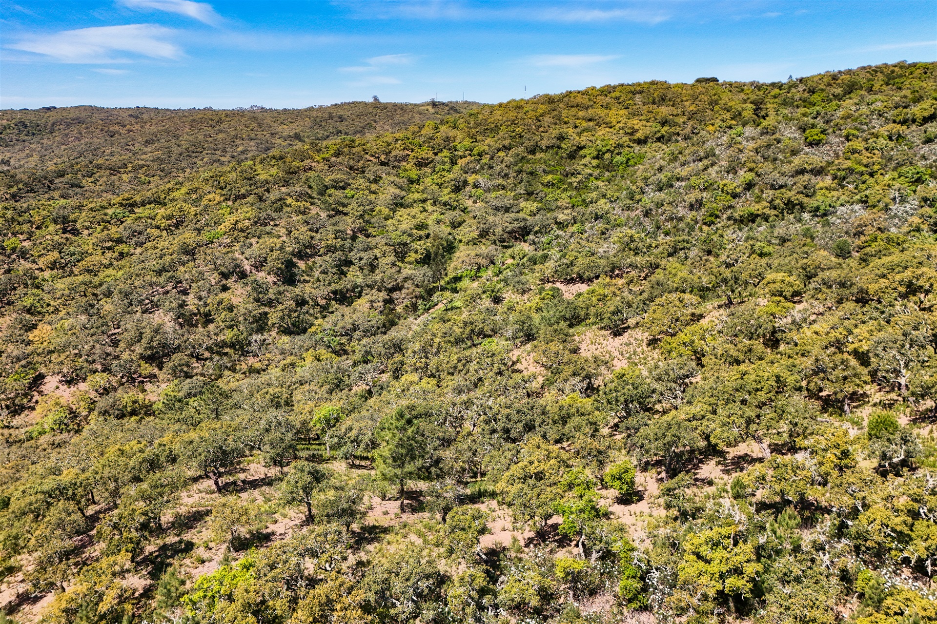  Real estate land for Sale - 物件實景