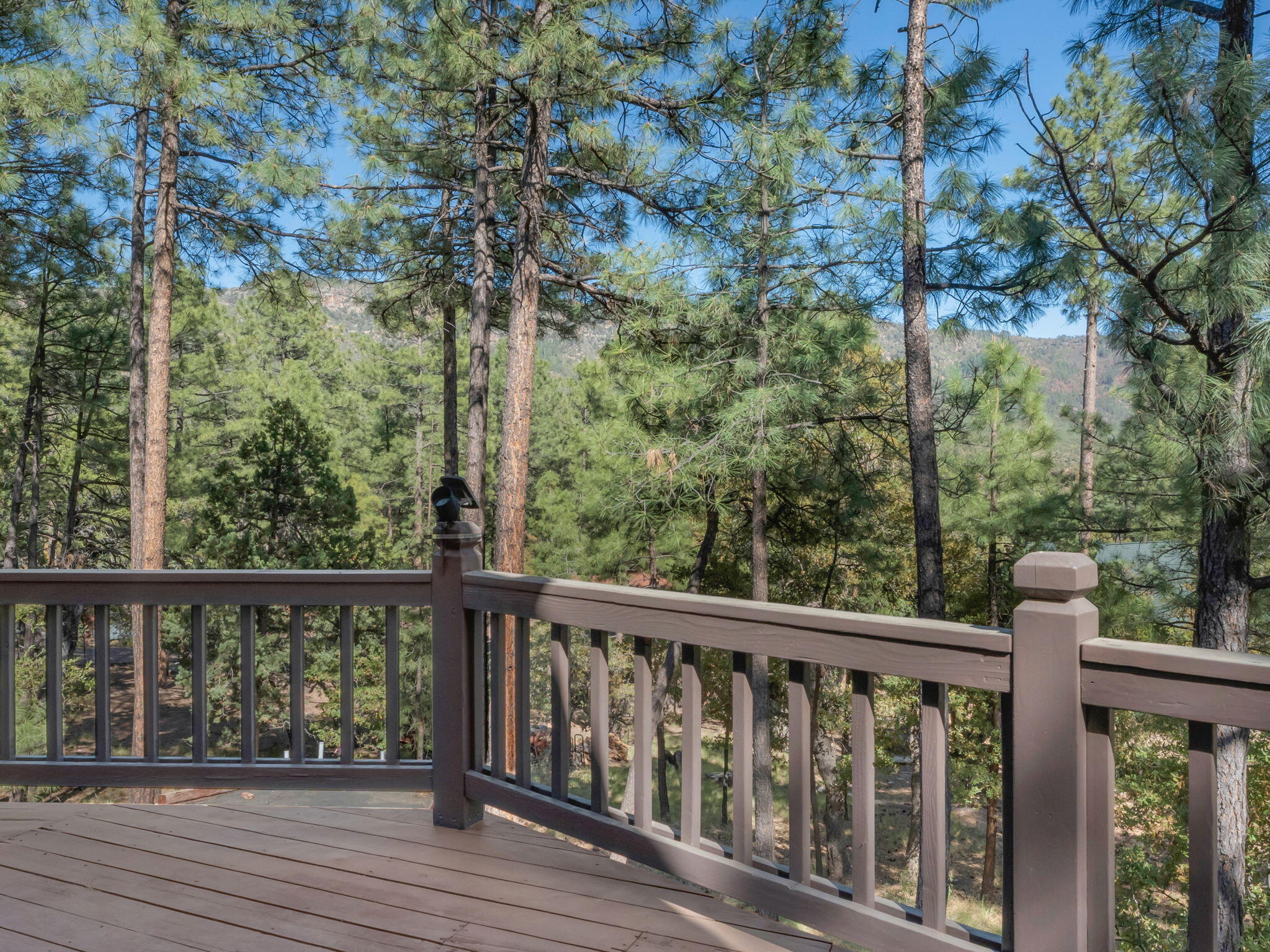Pine, Arizona, 85544, United States, 3 Bedrooms Bedrooms, ,2 BathroomsBathrooms,Residential,For Sale,1828056