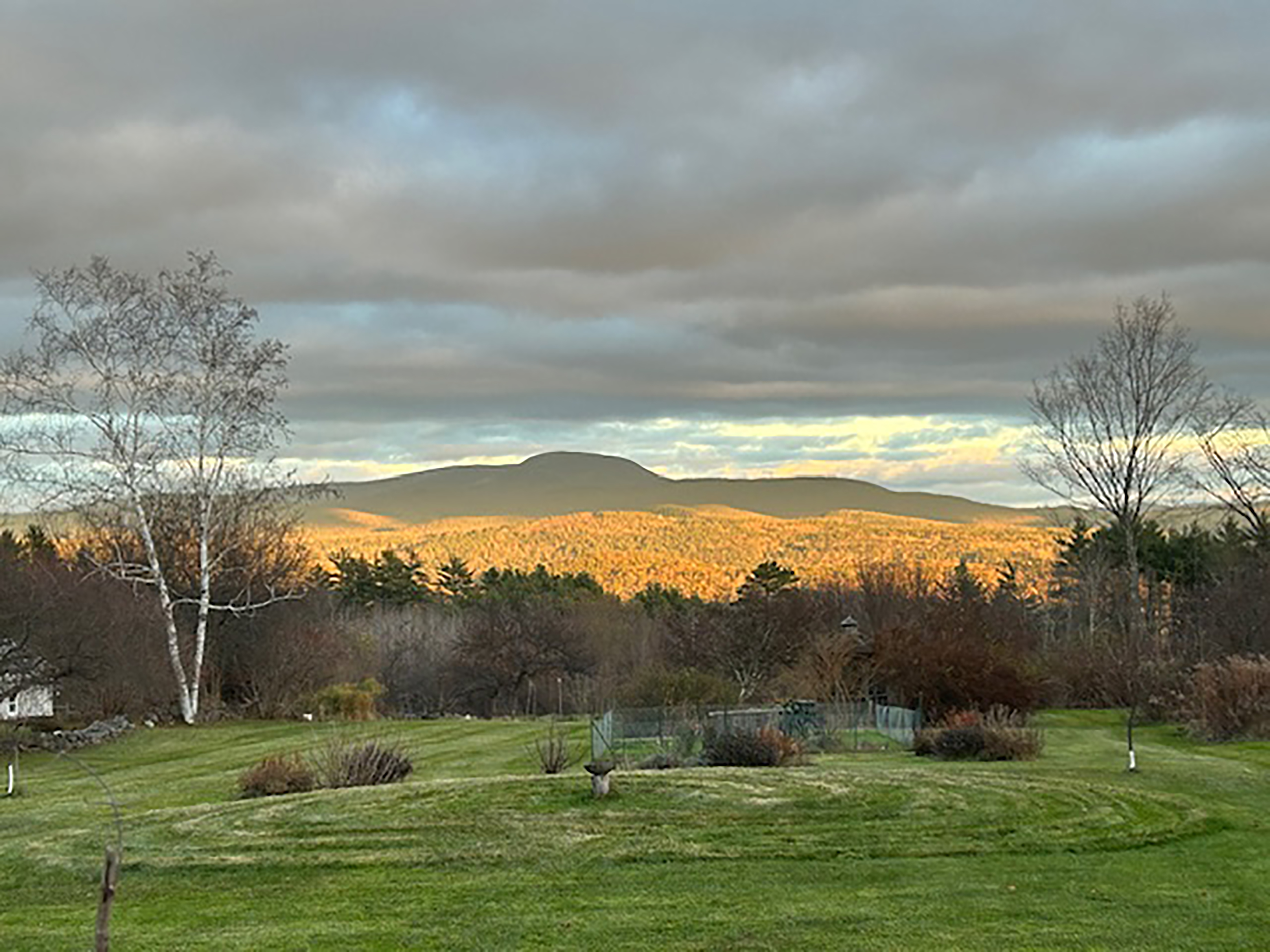  85 Academy Road - 物件實景