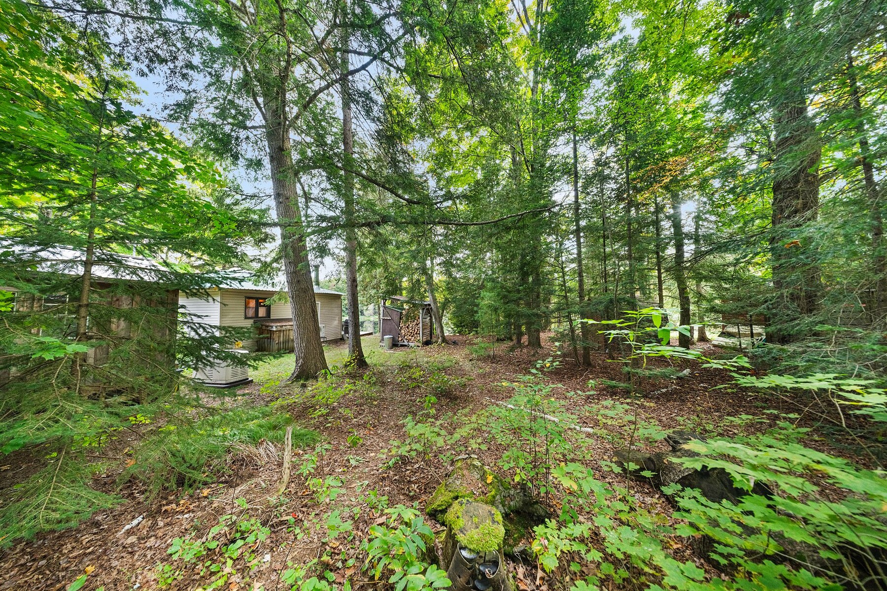  Charming Oxtongue Cottage - 物件實景